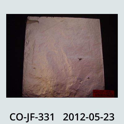 Hail Obs Photo