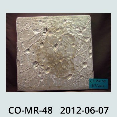 Hail Obs Photo