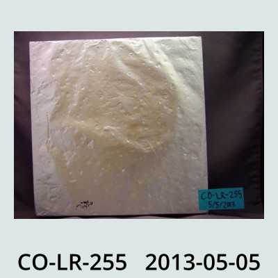 Hail Obs Photo