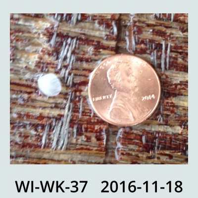Hail Obs Photo