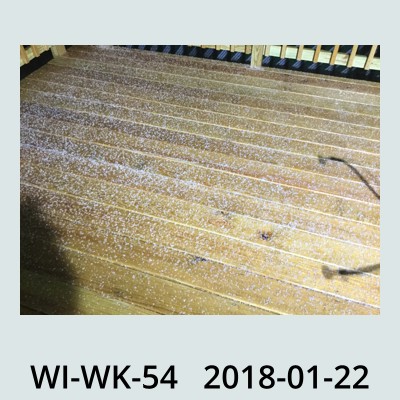 Hail Obs Photo