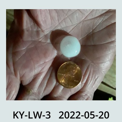 Hail Obs Photo