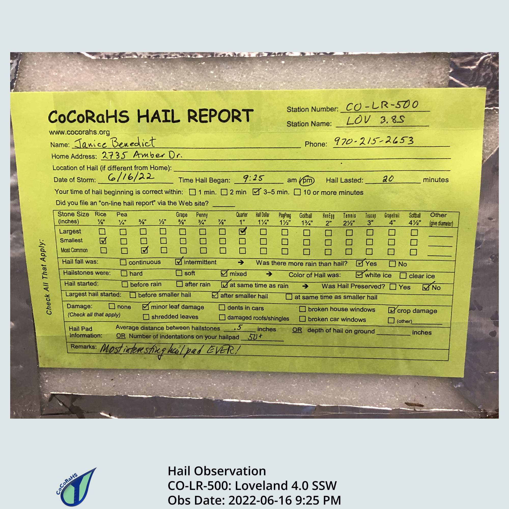 Full size version of the thumbnail.