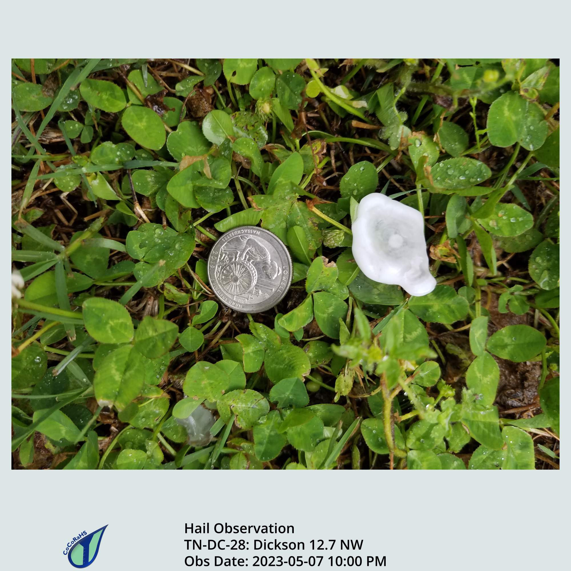 Full size version of the thumbnail.