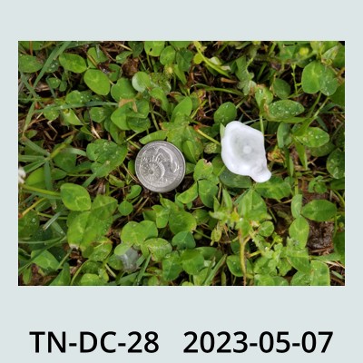 Hail Obs Photo