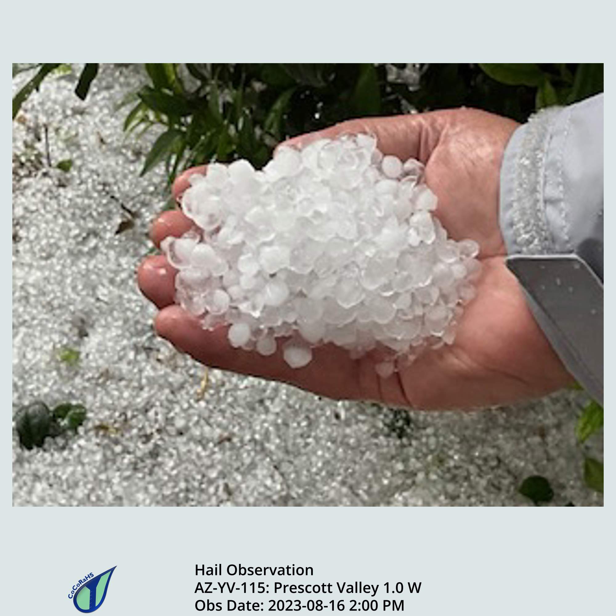 Full size version of the thumbnail.