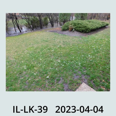 Hail Obs Photo