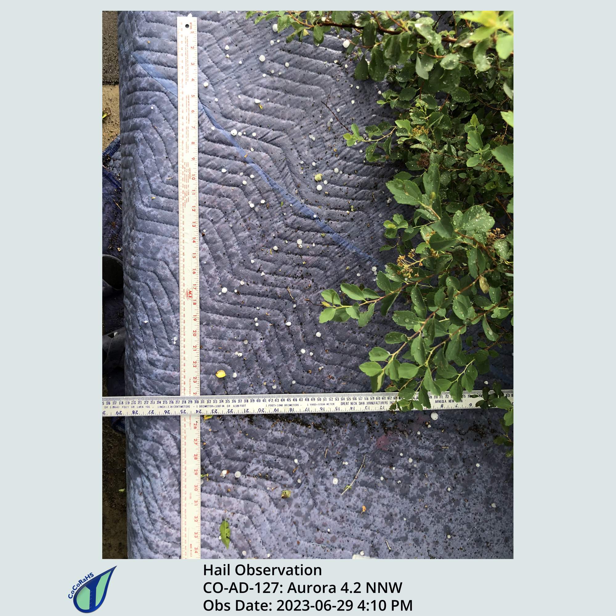 Full size version of the thumbnail.