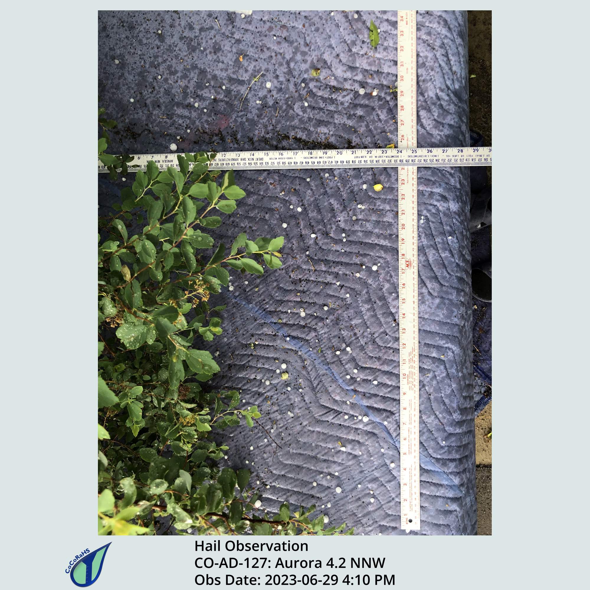 Full size version of the thumbnail.