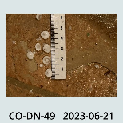 Hail Obs Photo