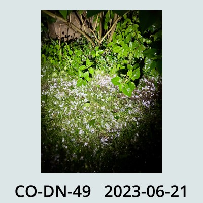 Hail Obs Photo