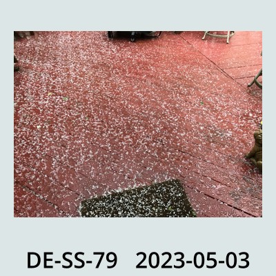 Hail Obs Photo