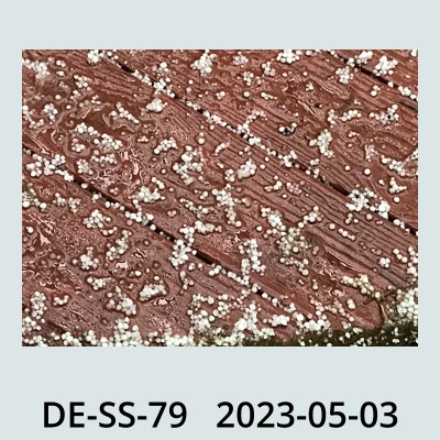 Hail Obs Photo
