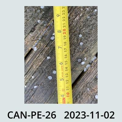 Hail Obs Photo