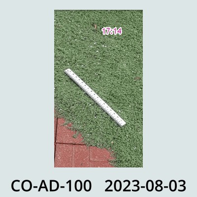 Hail Obs Photo