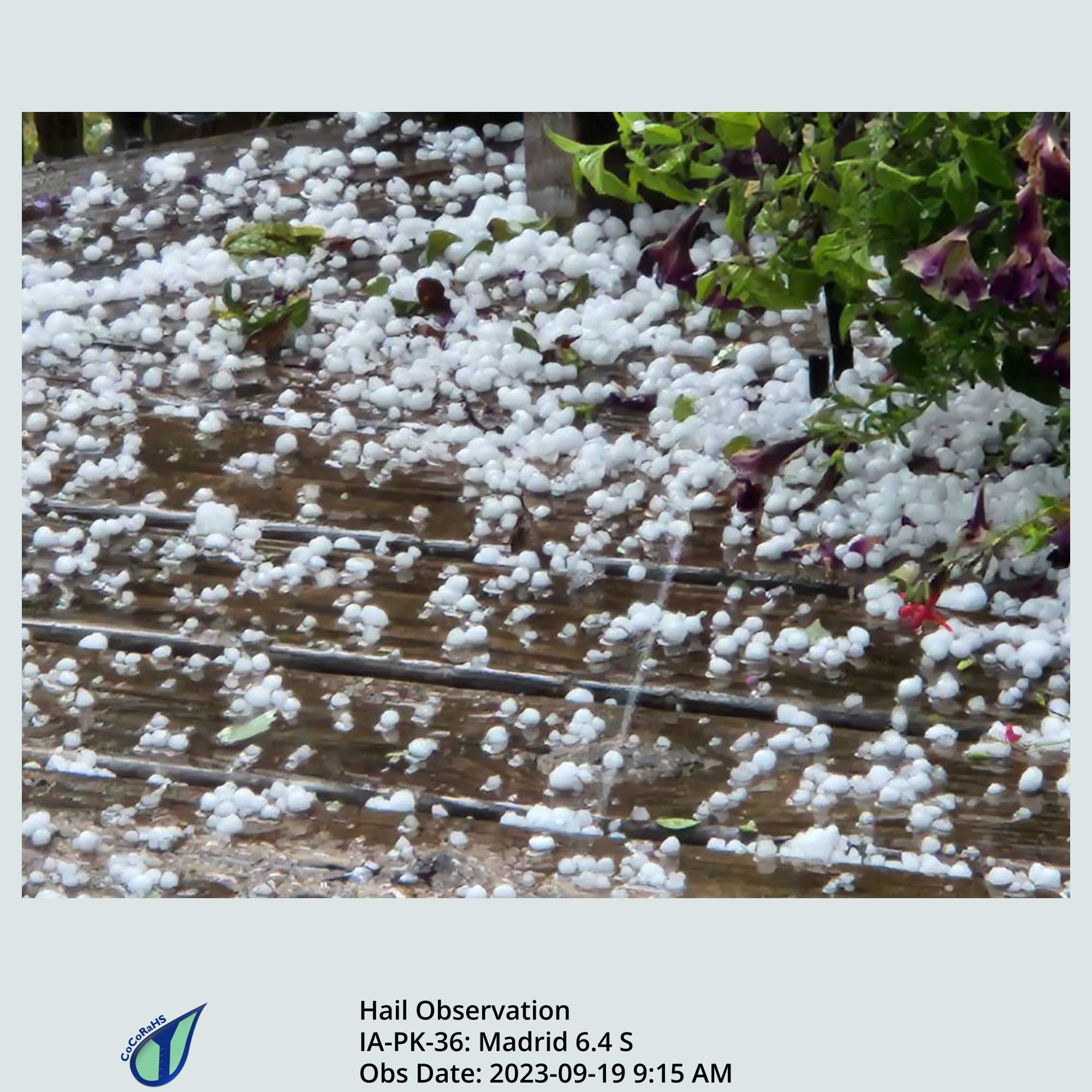 Full size version of the thumbnail.