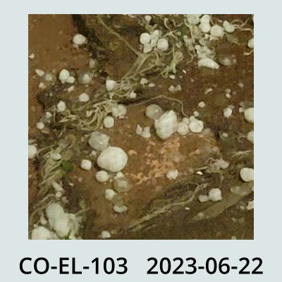 Hail Obs Photo