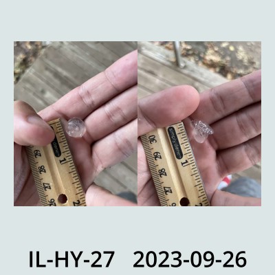 Hail Obs Photo