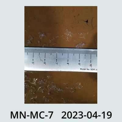 Hail Obs Photo