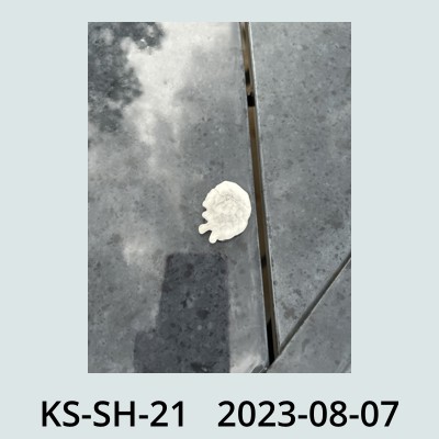 Hail Obs Photo