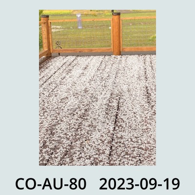 Hail Obs Photo