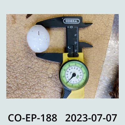 Hail Obs Photo