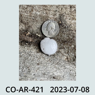 Hail Obs Photo
