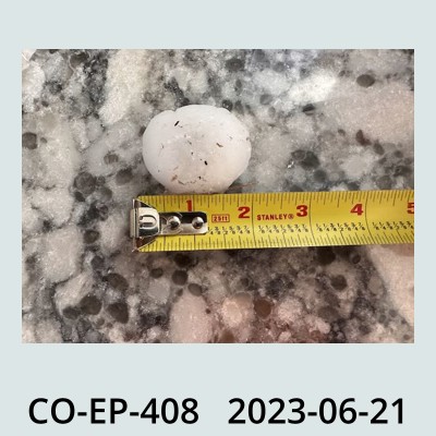 Hail Obs Photo