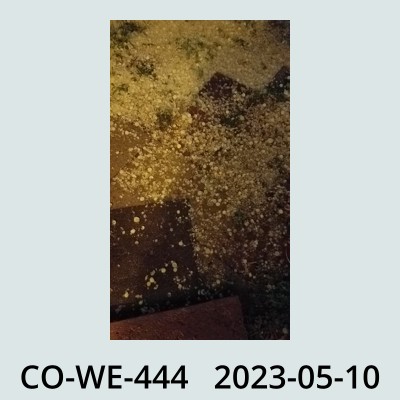Hail Obs Photo