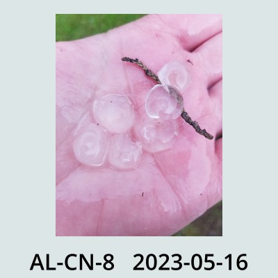 Hail Obs Photo