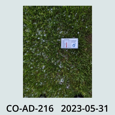 Hail Obs Photo