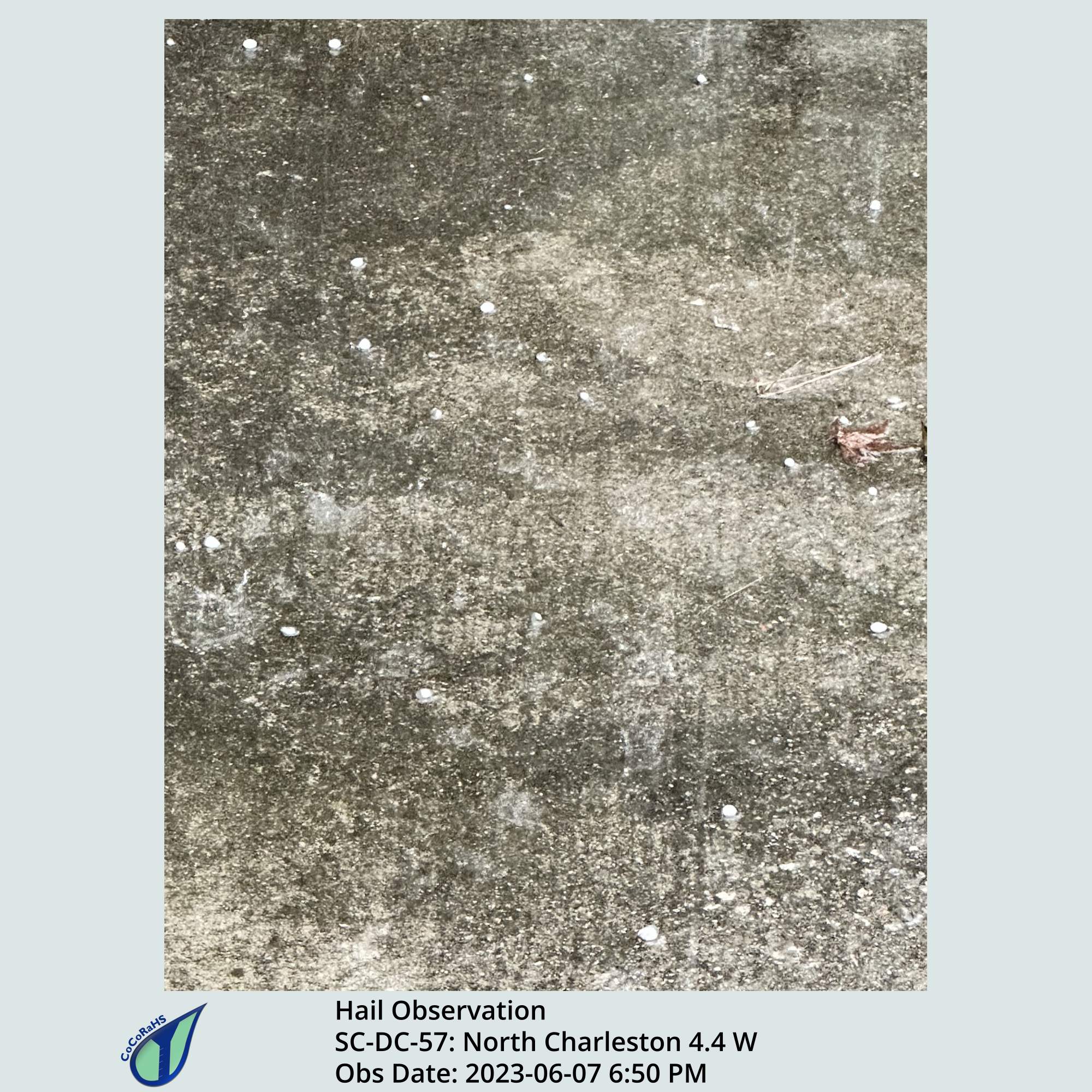 Full size version of the thumbnail.