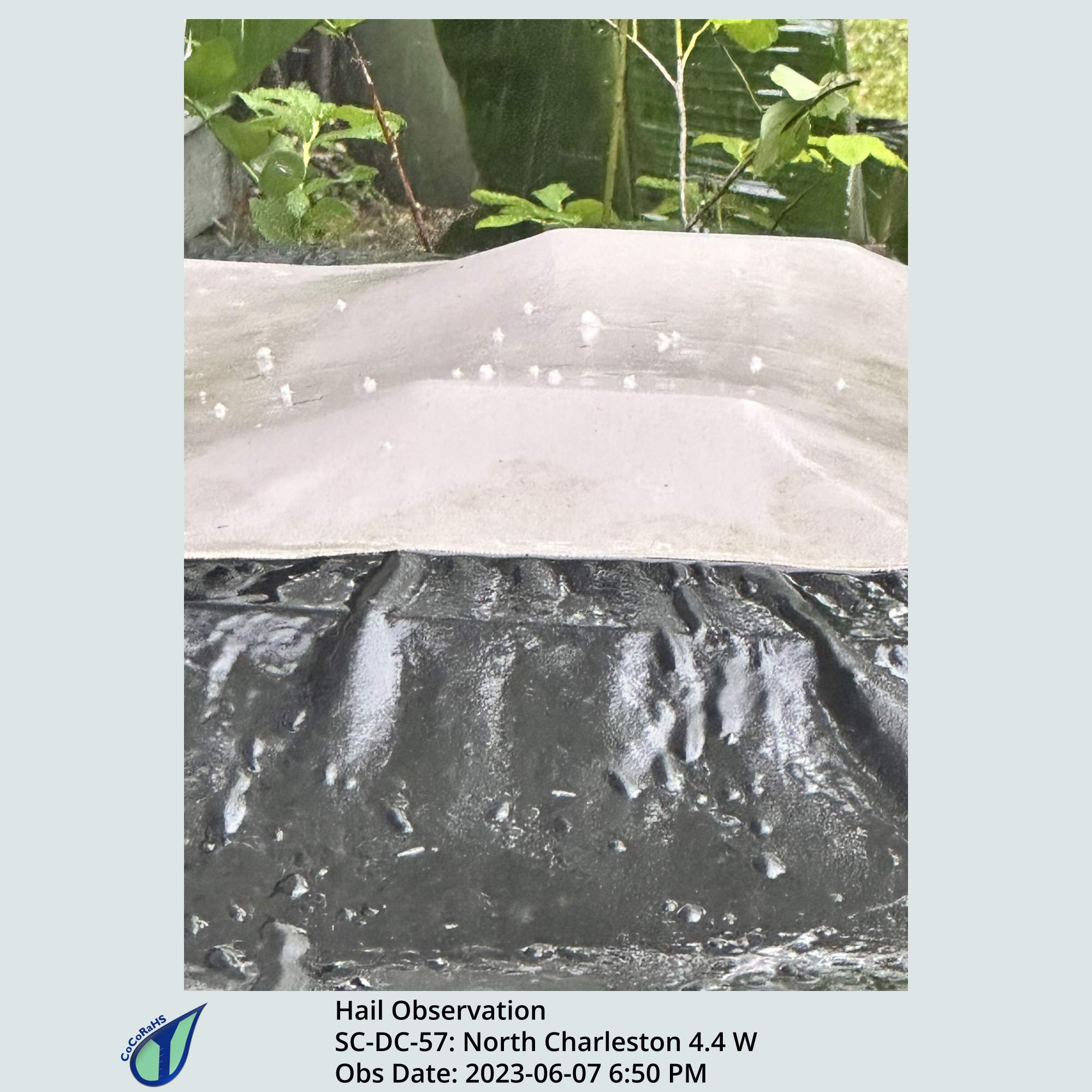 Full size version of the thumbnail.