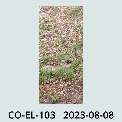 Hail Obs Photo