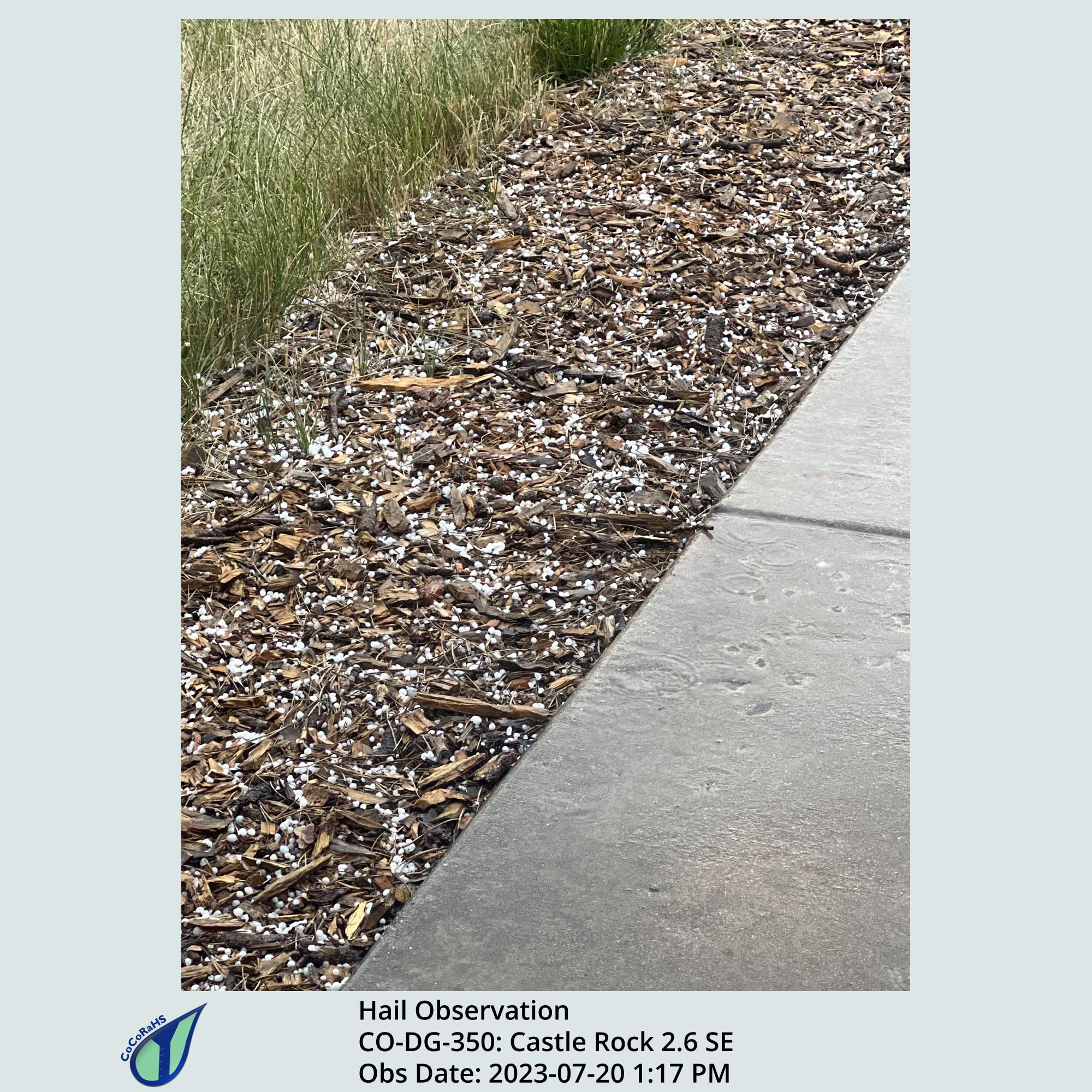 Full size version of the thumbnail.