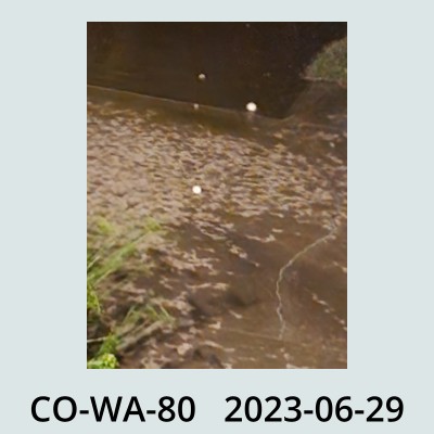 Hail Obs Photo