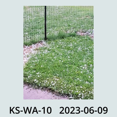 Hail Obs Photo