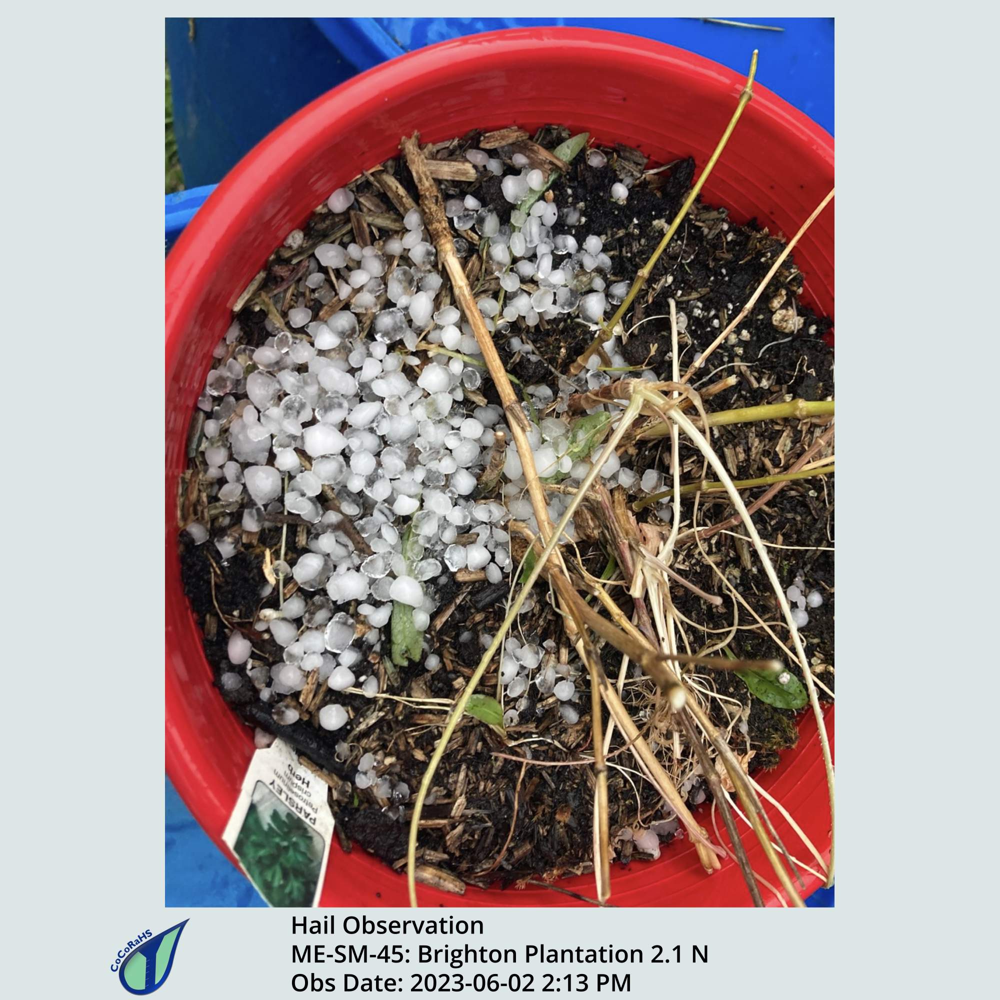 Full size version of the thumbnail.