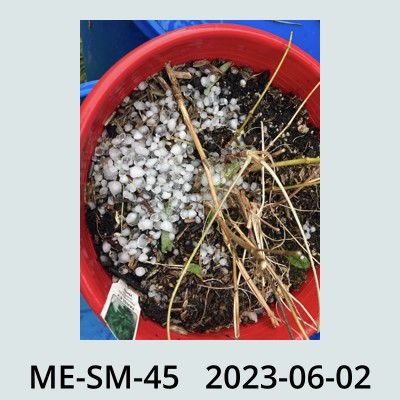 Hail Obs Photo