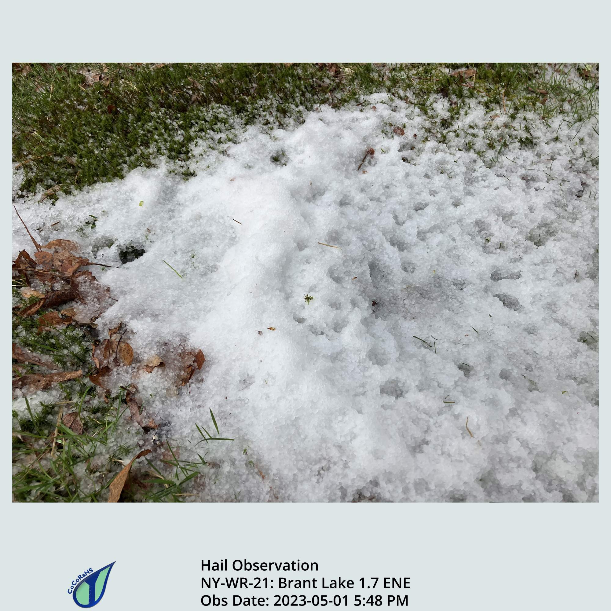 Full size version of the thumbnail.