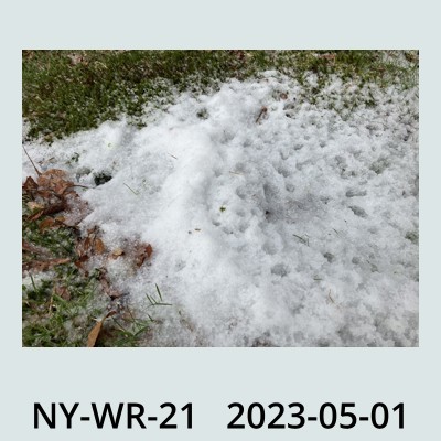 Hail Obs Photo