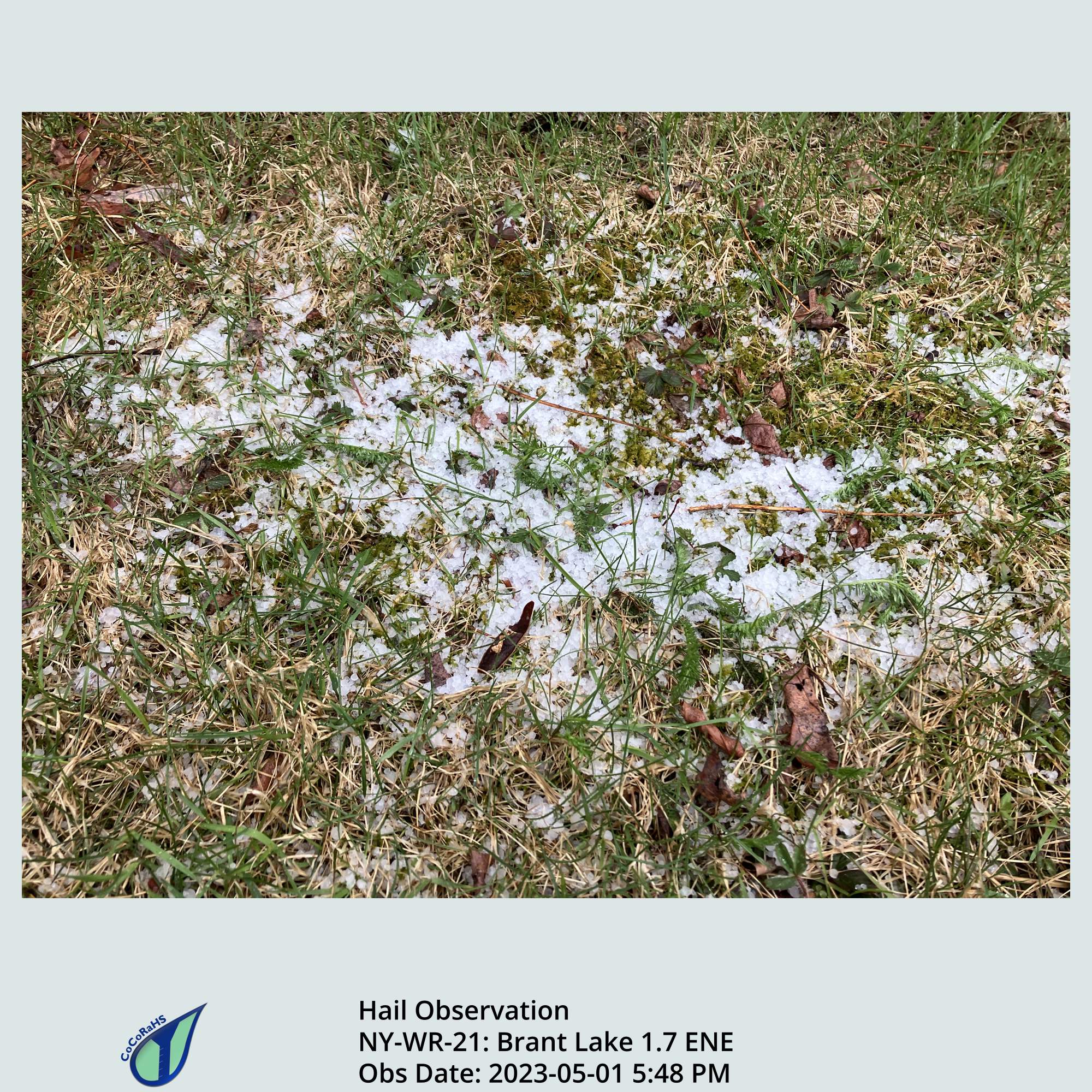 Full size version of the thumbnail.