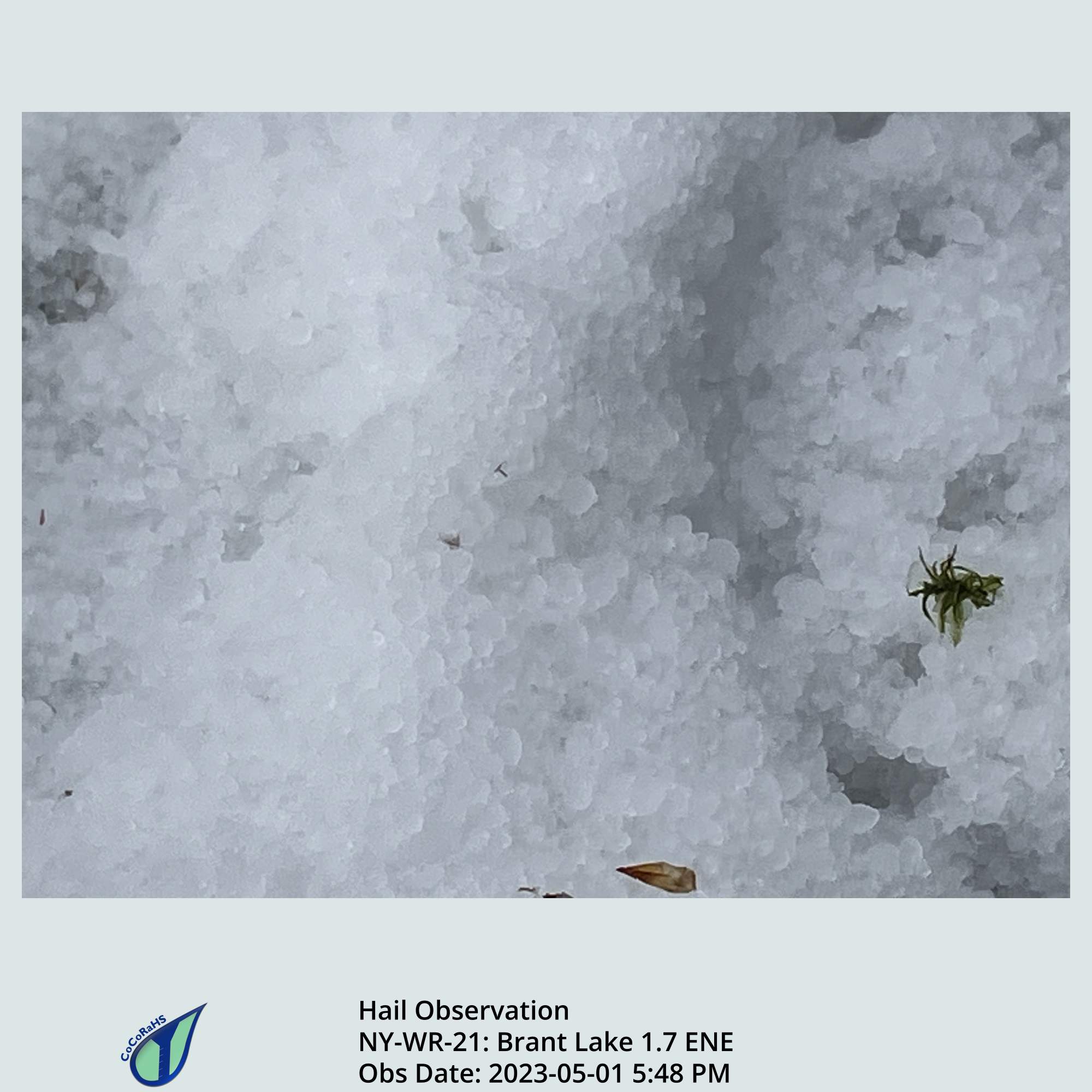 Full size version of the thumbnail.