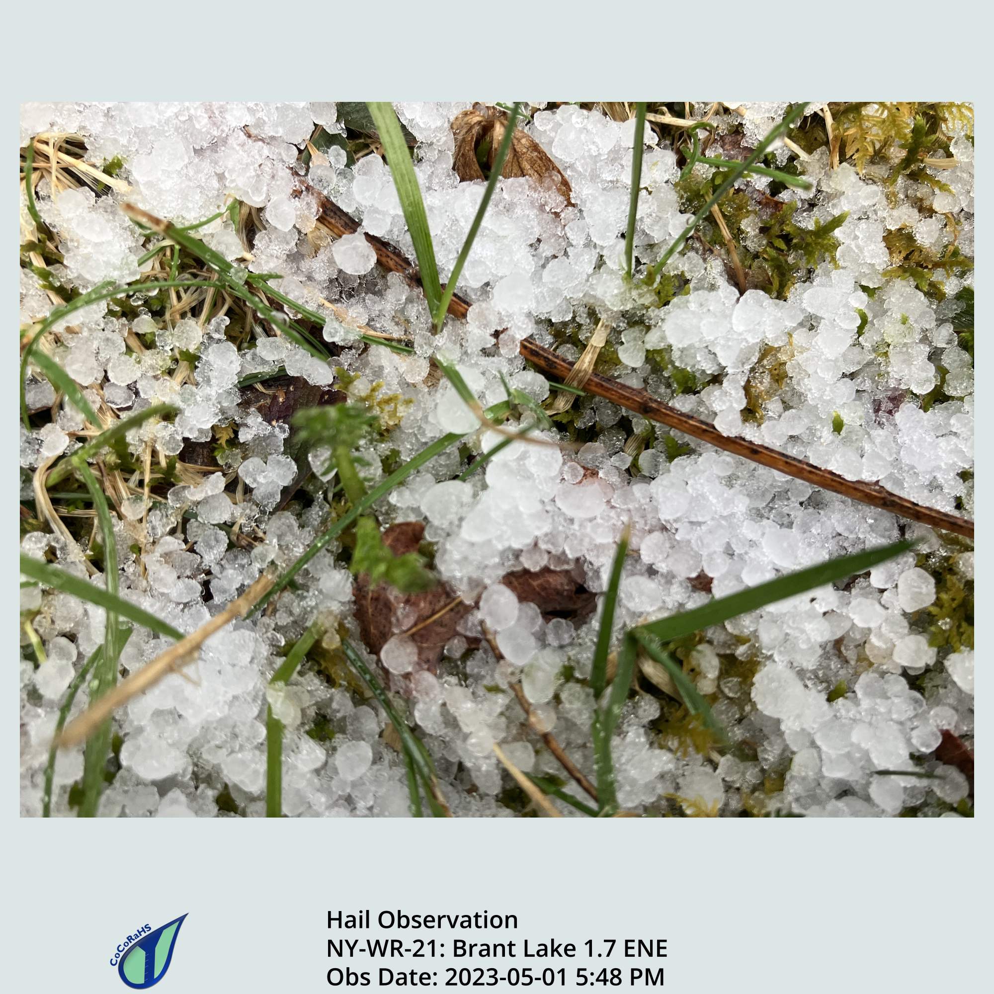 Full size version of the thumbnail.