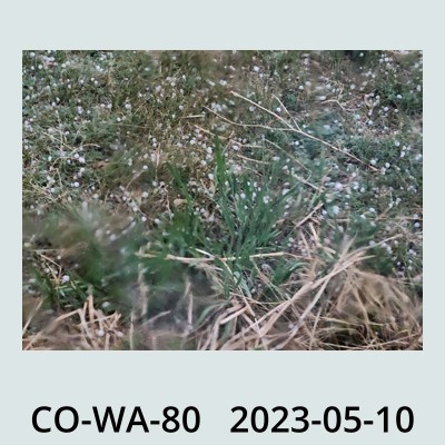 Hail Obs Photo