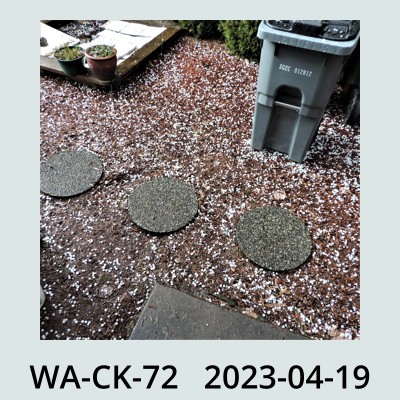 Hail Obs Photo