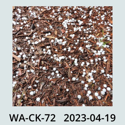 Hail Obs Photo