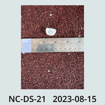 Hail Obs Photo