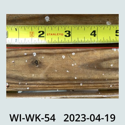 Hail Obs Photo