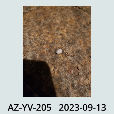 Hail Obs Photo